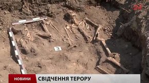 Головні новини Львова за 10.06