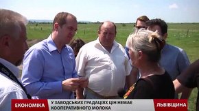 Умови для невеликих виробників молока можуть покращитись 