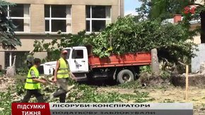 Підсумки тижня за 20.06