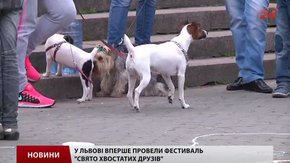У Львові вперше відбулося «Свято хвостатих друзів»