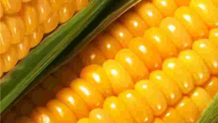 Україна стала лідером з експорту кукурудзи в Китай