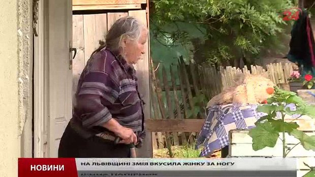 На Львівщині побільшало небезпечних плазунів