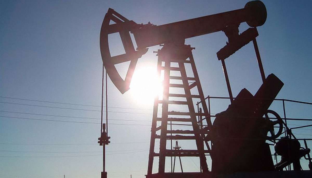 В екс-міністрів Януковича остаточно забрали нафтогазові родовища