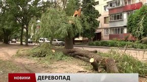 Головні новини Львова за 09.07