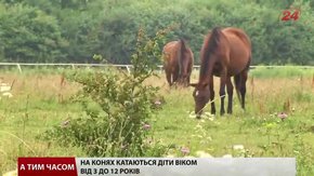 У Львові дітей вчать кататися верхи