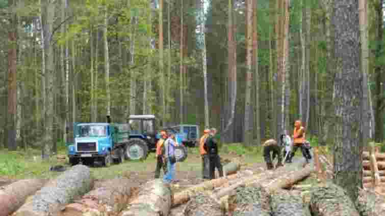 На Львівщині браконьєри жорстоко побили двох лісників