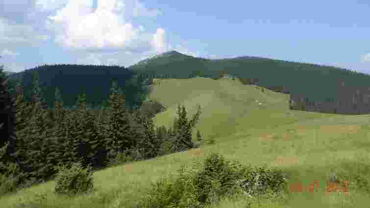 Нацгвардія стягує сили до гори Явірник у Закарпатській області