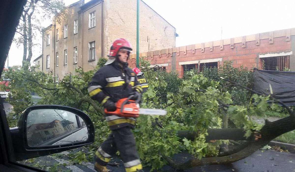Через сильний буревій у Польщі загинула жінка