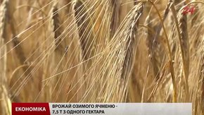 На Львівщині жнивують усі райони