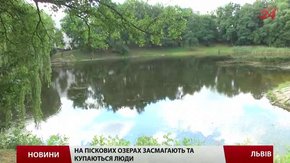 Екологи виявили в озерах Львова залізо, аміак та фосфати