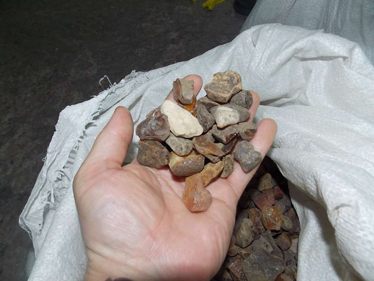 На кордоні в Шегинях виявили 150 кг контрабандного бурштину
