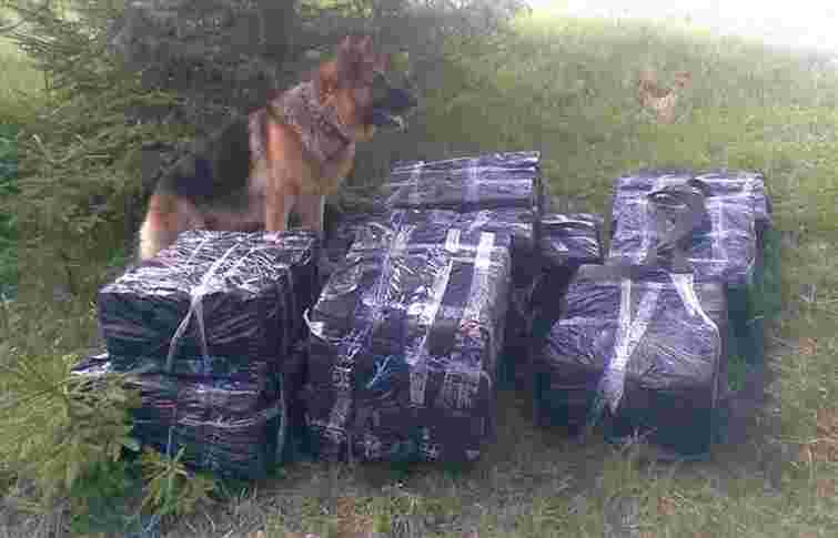 Закарпатські прикордонники вилучили 5 тисяч контрафактних пачок сигарет зі Львова