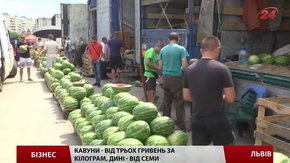 Сезон баштанних розпочався
