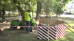 У Львові викорчували вже більше двадцяти пнів завдяки спецмашині
