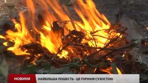 На Львівщині оголосили найвищий рівень пожежної небезпеки