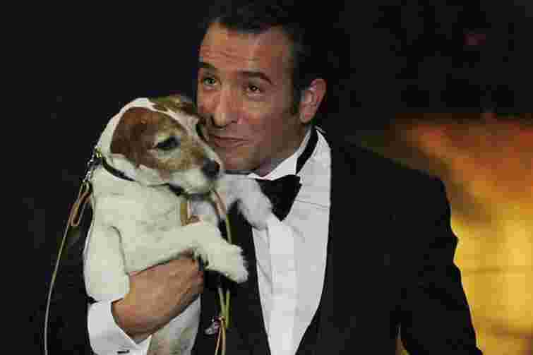 Помер пес Уггі з фільму «Артист»
