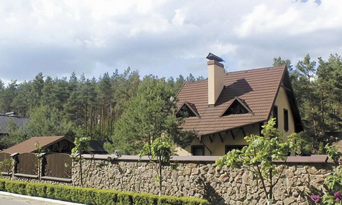 МВС і ДСО пильно охороняють маєтки регіоналів-утікачів Арбузова та Олійника