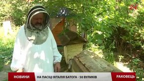 Вуликотерапія лікує від безсоння та відновлює сили