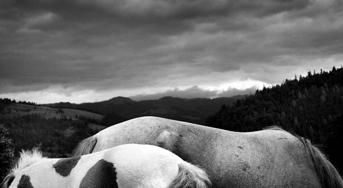 Львівський фотограф візьме участь у престижному бієнале в Австралії