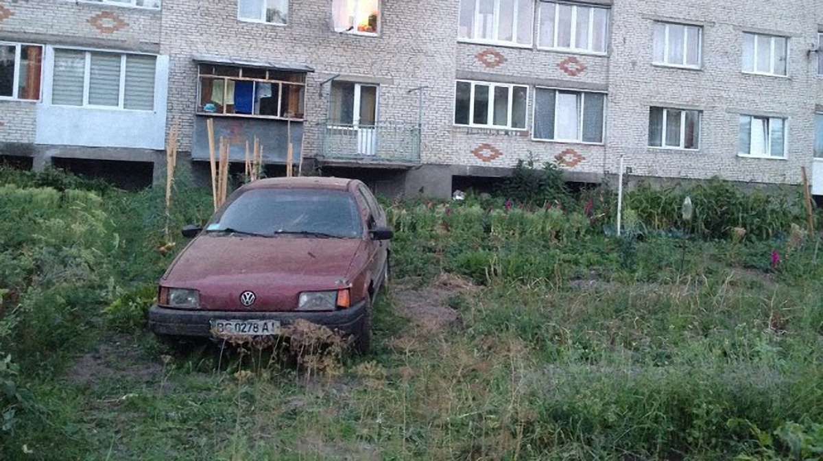 На Львівщині працівник ДАІ після скоєної ним ДТП написав рапорт на звільнення