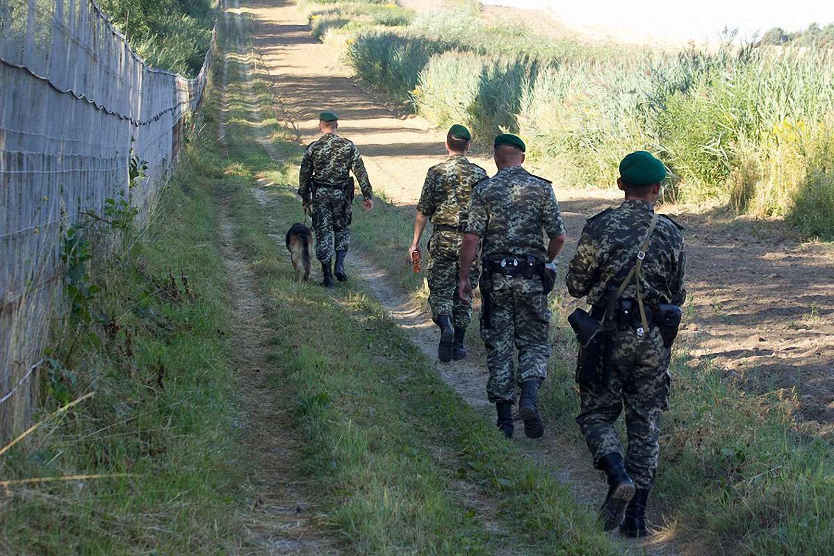 Зелені берети