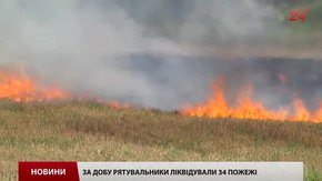 За добу на Львівщині виникло 34 пожежі сухостою