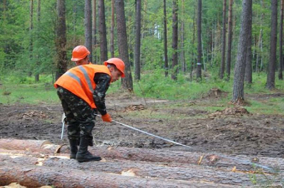 У Бродах горить лісопромисловий комплекс