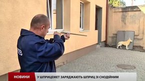 Працівники ЛКП «Лев» вчаться відловлювати безпритульних собак за допомогою шприцеметів