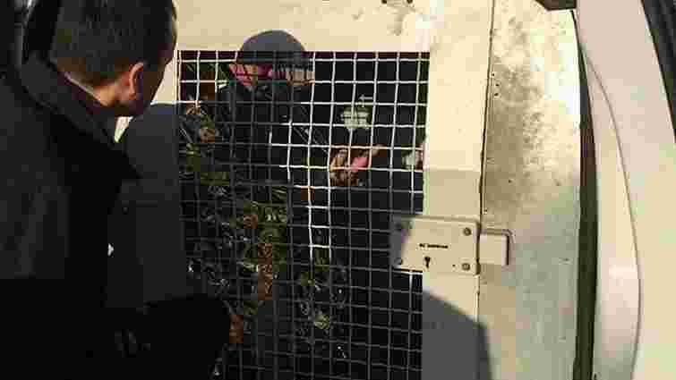 У Києві міліціонери дві години вмовляли чоловіка не підривати бойову гранату