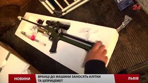 У Львові за допомогою шприцемета за тиждень зловили п’ять собак