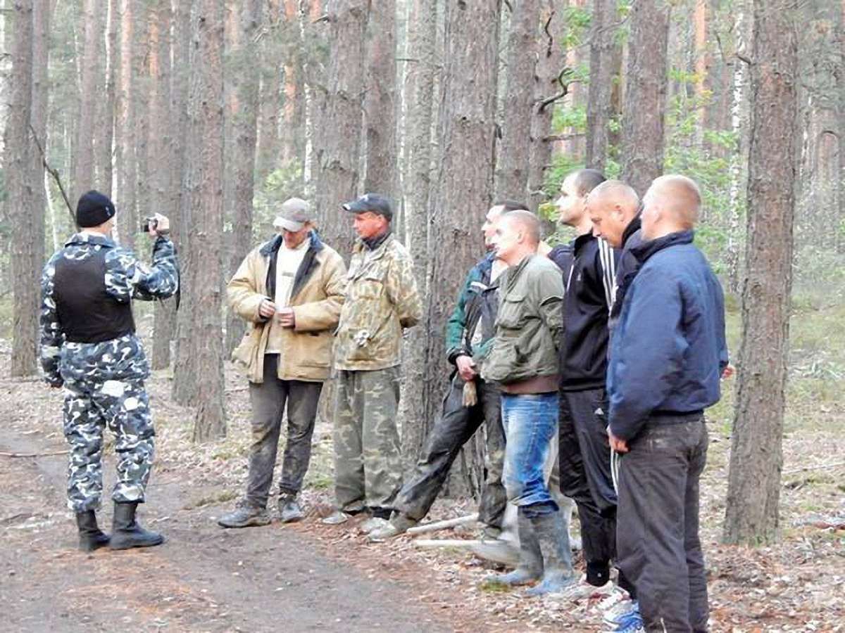 На Волині сталася стрілянина через бурштин