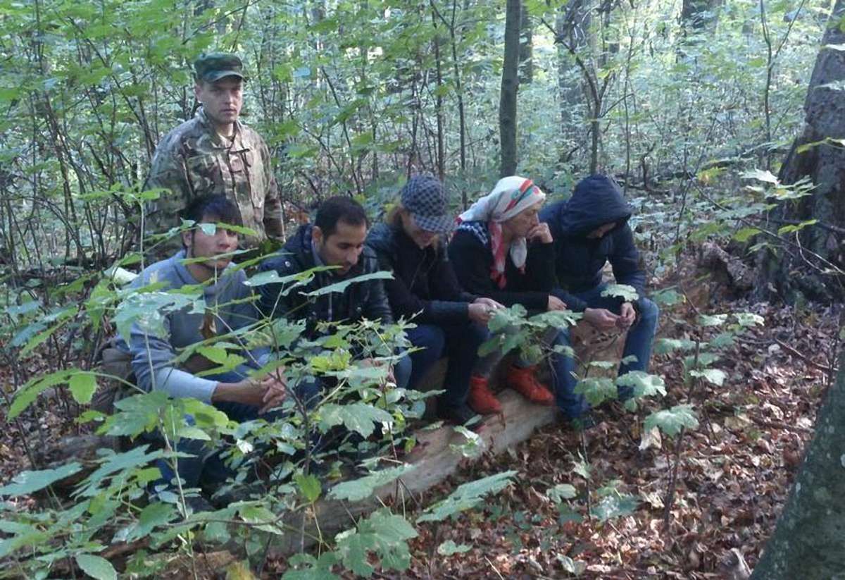 На Закарпатті прикордонники затримали кілька груп нелегалів