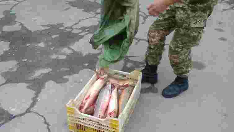 На Одещині затримали браконьєрів, які наловили риби на ₴750 тис.