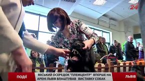 Львівський міський осередок «Племцентр» влаштував міжнародну виставку собак