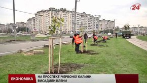 На Сихові висадять сакури та райські яблуні