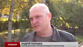 У Львові почали монтувати перший шумозахисний екран біля дитячого садочка і школи
