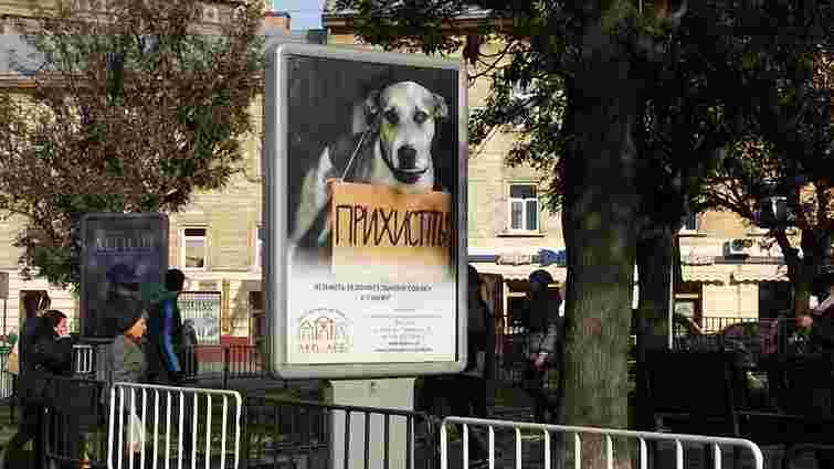 ЛКП «Лев» створить сайт з фотографіями безпритульних собак, які шукають дім