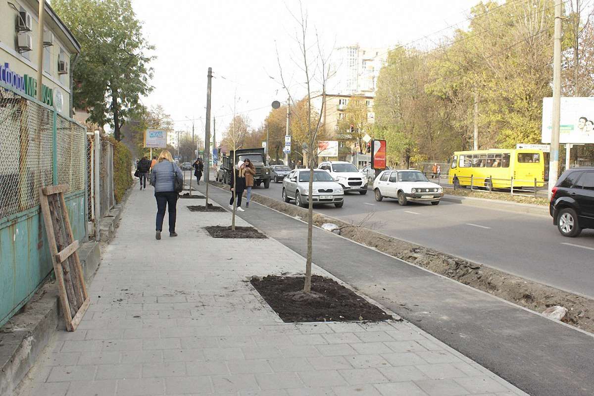Проспект Чорновола у Львові озеленили платанами