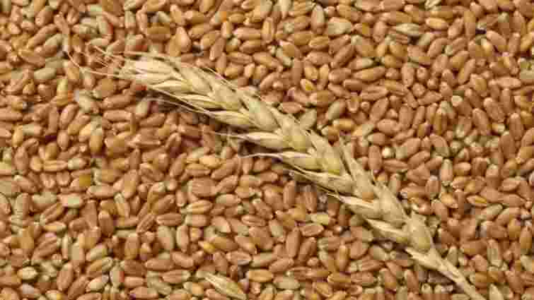 Україна посяде третє місце серед світових експортерів зерна, – Мінагрополітики