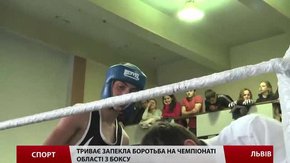 У Львові в розпалі Чемпіонат області з боксу серед юніорів