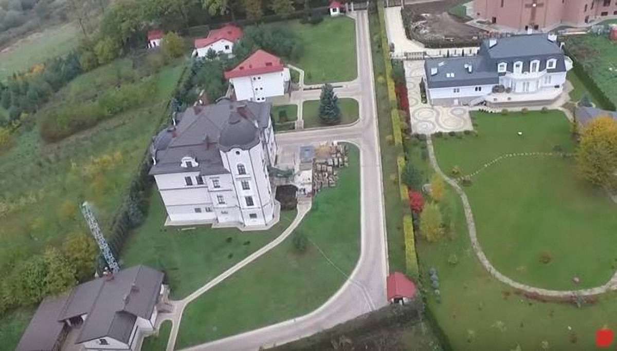 Політ над гніздом Дубневичів