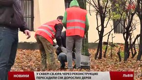 Біля собору св. Юра у Львові пересадили дерева