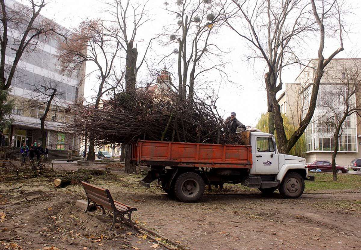 У сквері Святого Юра почали зрізати дерева