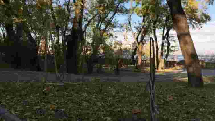 В Одесі невідомі понищили дерева, посаджені на честь Небесної сотні (відео)