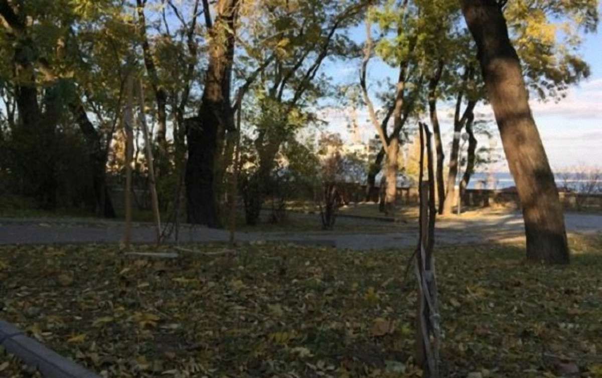 В Одесі невідомі понищили дерева, посаджені на честь Небесної сотні (відео)