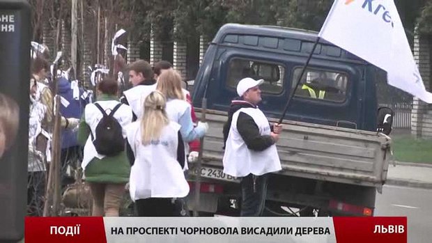 Проспект Чорновола продовжують озеленювати