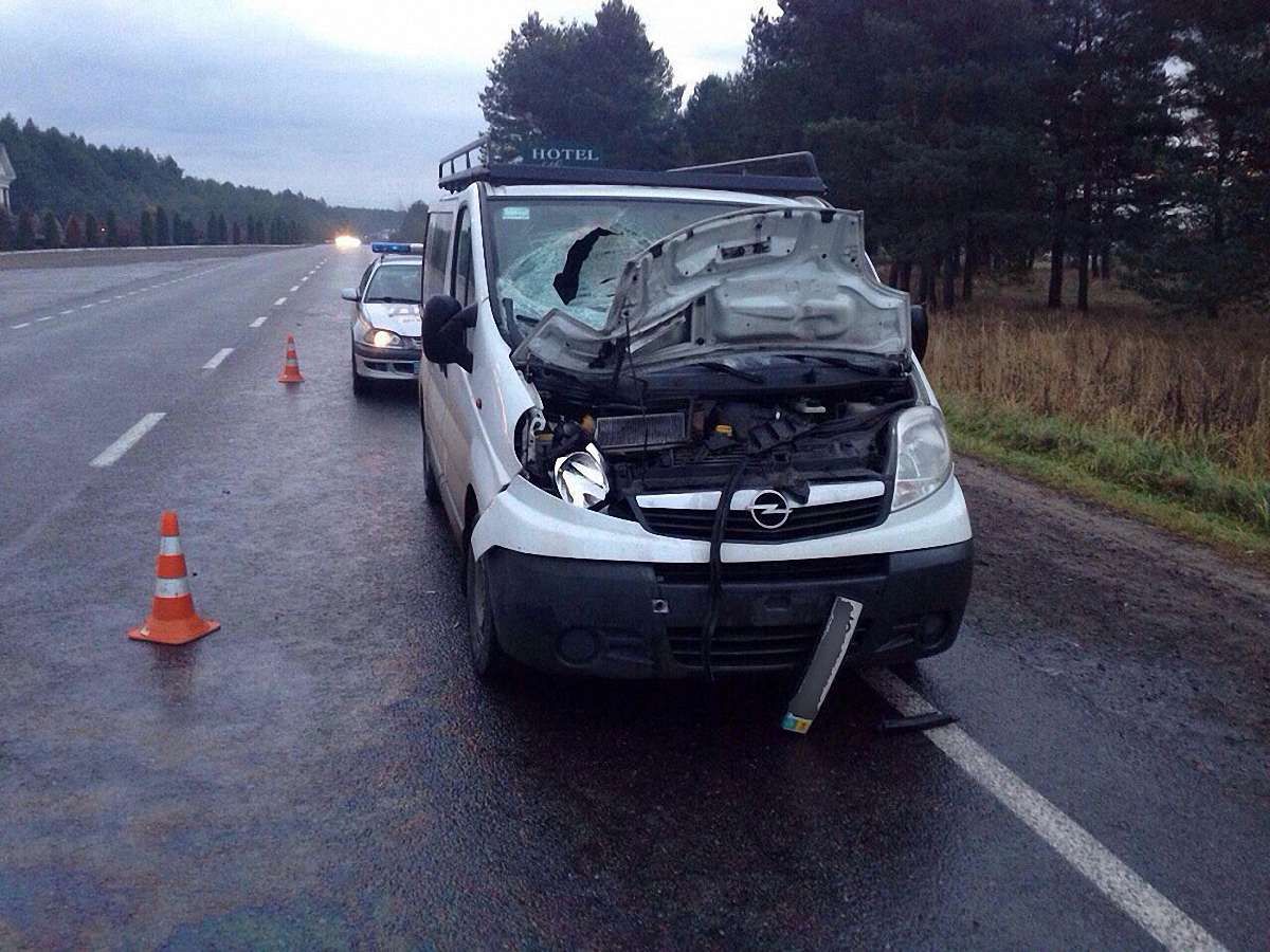 На трасі Львів-Шегині львів’янин смертельно травмував 40-річного чоловіка