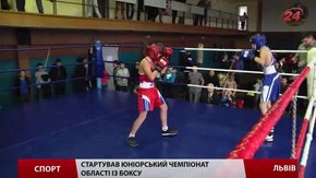 Львівські боксери кулаками торують шлях у збірну області