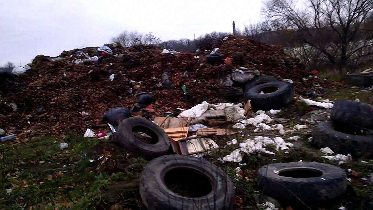 Поблизу Львівського автовокзалу виявили несанкціоноване сміттєзвалище