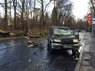 На вул. Стрийській дерево впало на позашляховик